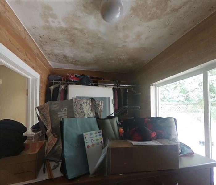 Mold on walls of a MIAMI home