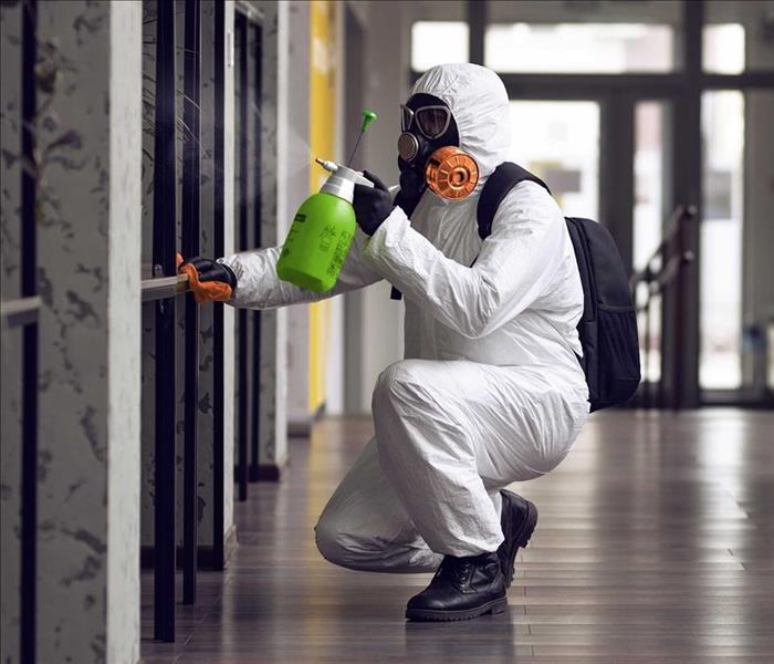 What is involved with mold remediation?