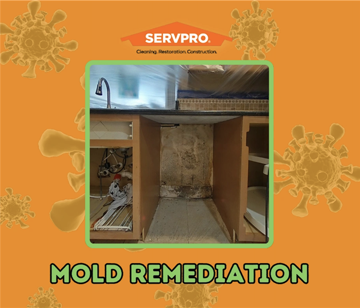 MOLD REMEDIATION