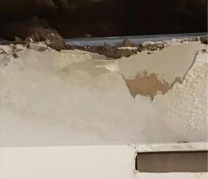 Mold found on walls of Hollywood home