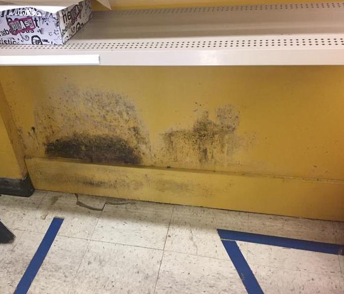 Inside of yellow cabinet, black mold spots all over. 