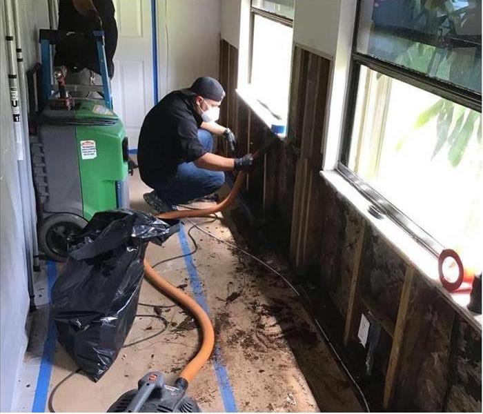 A specialist is removing mold growth in a home